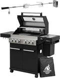 FEUERGOTT Gasgrills, für den Garten und die Terrasse, Schwarz/Silber