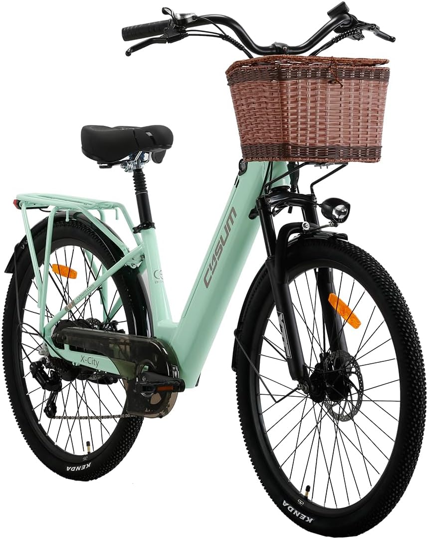 E-Bike, 250 W, 48 V, 10,4 Ah, Mintgrün/Braun/Schwarz, cysum