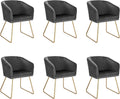 WOLTU BH271dgr-6 Sessel, für das Wohnzimmer und die Küche, aus Metall, Dunkelgrau/Gold